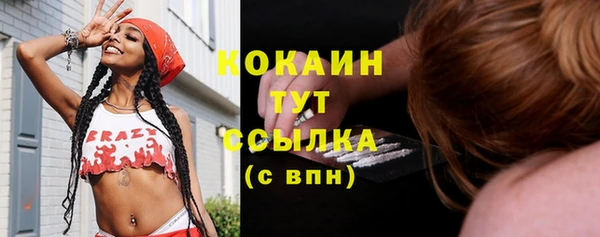 молекула духа Кущёвская