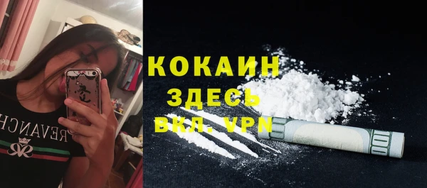 PSILOCYBIN Калининец