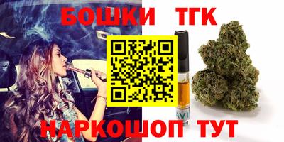 крисы Аргун