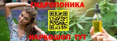 крисы Аргун