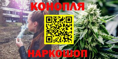 крисы Аргун