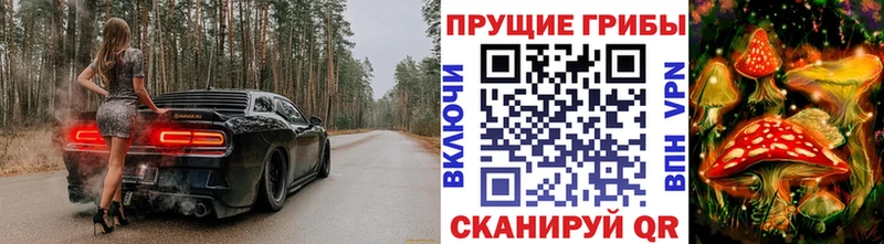 Псилоцибиновые грибы Magic Shrooms  цена наркотик  Калининград 