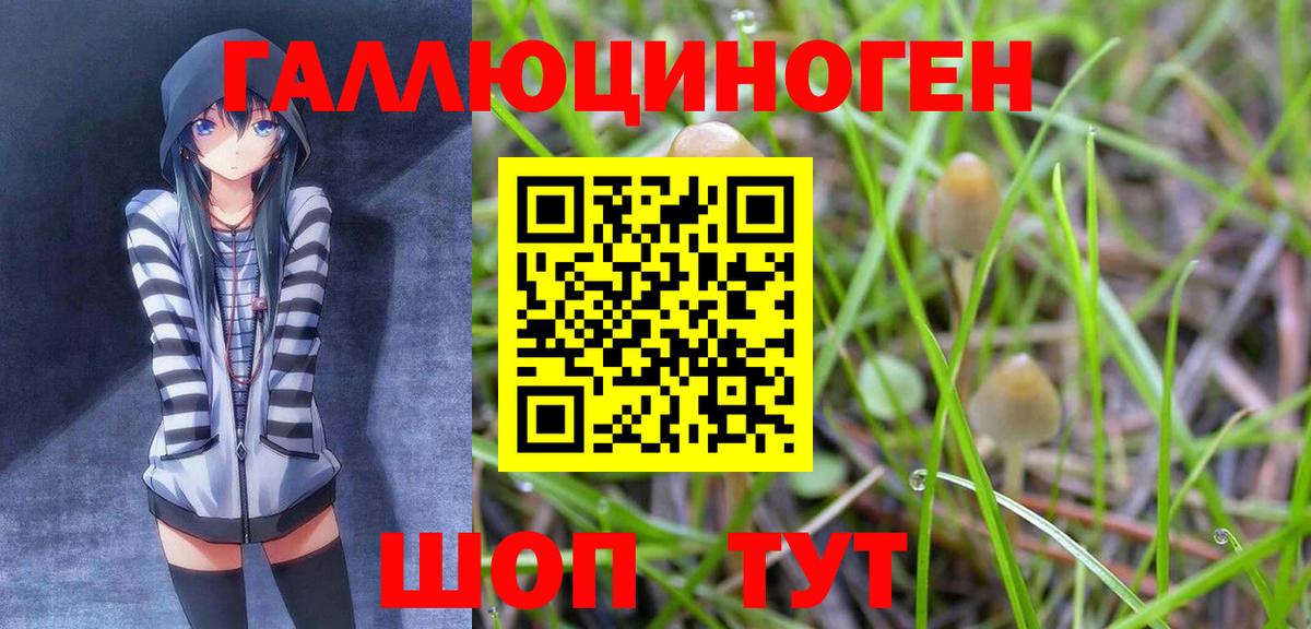Галлюциногенные грибы MAGIC MUSHROOMS Калининград