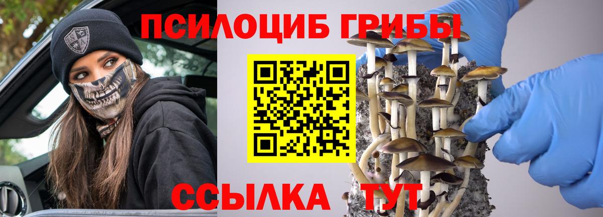 Галлюциногенные грибы Cubensis  Вход с VPN  Калининград 